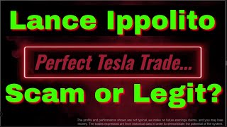 Lance Ippolito Review Perfect TSLA Trader [upl. by Hilly]