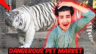 Dangerous Pet Market 🐕 In Lahore  Buhat Sara New Pets 😍 [upl. by Shana503]