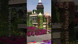 Fairytale Miracle Garden 🇦🇪 DUBAI UAE 🇦🇪 short 001 [upl. by Crowns268]