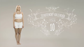 Tehotenský kalendár 10 týždeň [upl. by Tavi315]