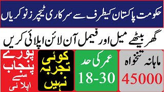 Govt Teacher Jobs 2020 in Pakistan Govt Jobs in Pakistan Govt Jobs in Punjab Teaching Jobs 2020 [upl. by Enywtna928]