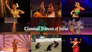 Marta Chandra Kabeliya‬ North Indian Rajasthani Folk and Gypsy Dance by Good Karma Media [upl. by Flan781]