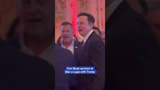 Elon Musk spotted at MaraLago with Trump on Election Night [upl. by Yatnwahs479]