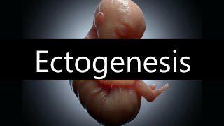 Will Artificial Wombs Save Us From Birth DeclineEctogenesis [upl. by Celeste]