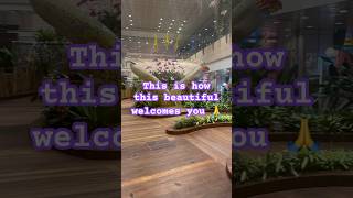 World’s Best Airport  Changi Airport  Singapore changiairport singapore [upl. by Galen]