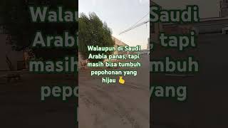 Salam sukses buat teman semua 🫰shorts hindisong [upl. by Ennasirk]