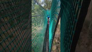 Treetop adventure Melbourne Yeodene australiavlog malayalamvlog minivlog vlogger [upl. by Laenaj]