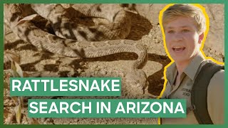 Robert Irwin Is Trying To Handle His First RATTLESNAKE Crikey It’s the Irwins [upl. by Norrad]