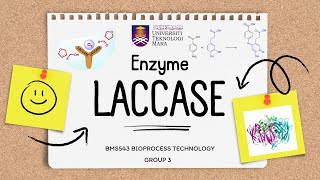 Enzyme Laccase  BMS543 Group 3 [upl. by Einnahpets]