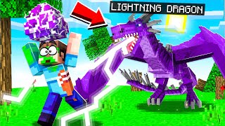 STEALING A LIGHTNING DRAGON EGG IN MINECRAFT [upl. by Laurens]