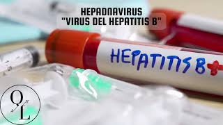 16 Hepadnavirus Virus del Hepatitis B [upl. by Lasley]