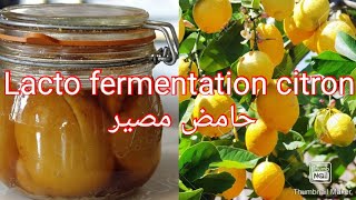 Citron confitpreserved lemonsحامض مصبر [upl. by Asserak]