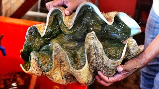 GIANT ALIEN CLAM SASHIMI Street Food Seafood [upl. by Lowis]