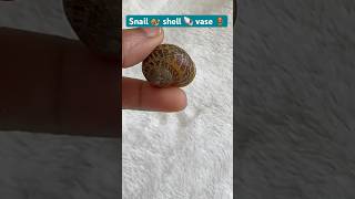 DIY Mini Flower Vase from Snail Shell  5 minutes Unique Handmade Craft Idea diy 5minutecrafts [upl. by Hett607]