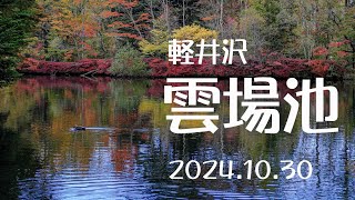 軽井沢 雲場池の紅葉 [upl. by Yssac]