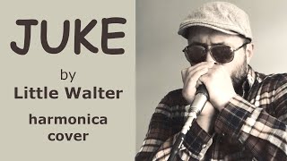 Juke  Little Walter Cover [upl. by Hasty]