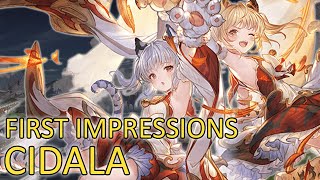 【Granblue Fantasy】First Impressions on Cidala [upl. by Danika515]