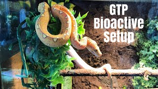 How to Build a Naturalistic Bioactive Enclosure [upl. by Polik]