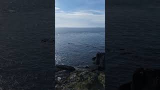 View of Haro Strait from Lime Kiln State Park [upl. by Shornick]