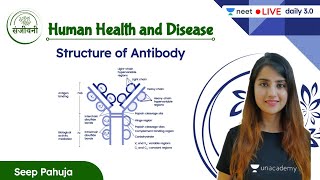 Structure of Antibody  Human Health and Disease  L3  NEET 202223  Seep Pahuja [upl. by Bing697]