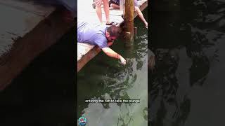 Catching Giant Fish with Bare Hands fishing catchingfish [upl. by Wayolle937]