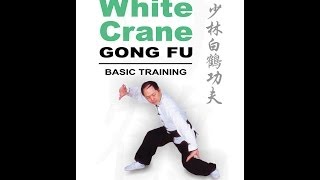 Shaolin White Crane Kung Fu  the root of Okinawan Karate [upl. by Ramed]