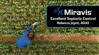 MIRAVIS® Excellent Septoria Control [upl. by Enihpled352]