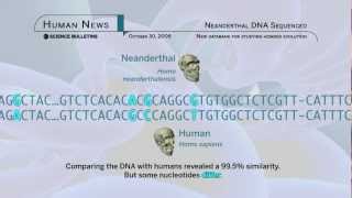 Science Bulletins Neanderthal DNA Sequenced [upl. by Enenstein523]