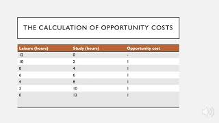 Understanding Opportunity Costs and its Calculation [upl. by Cave]