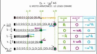 Moto Armonico Posizione Velocità ed Accelerazione [upl. by Dnalyag171]