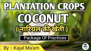 Plantation Crop  Coconut  Horticulture  By  Kajal Maam [upl. by Aniretac316]