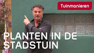 Tuinklus dag 3  Welke planten in de nieuwe stadstuin  Tuinaanleg  Tuinmanieren [upl. by Omrellig]