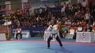 Jansu Maestro Alberto Delgado 8th WTF World Poomsae Taekwondo Championships Indonesia [upl. by Enialedam627]