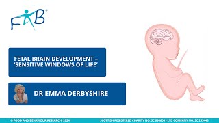 Foetal Brain Development – ‘Sensitive Windows of Life’ [upl. by Clawson]