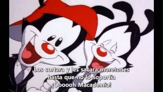 Animaniacs  Macademia Nut Sub español latino [upl. by Sanferd]