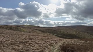 Cumberland Brook to Shutlingsloe Peak Walk English Countryside 4K [upl. by Hsirrehc158]