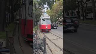 Vienna  The City of Aesthetics vienna austria travel travelvlog travelblogger [upl. by Olpe]