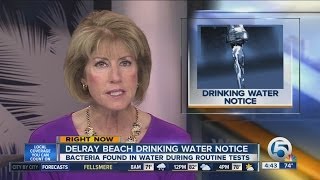 Coliform bacteria found in Delray Beach water [upl. by Leelahk599]