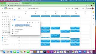 Color Code your Primary Google Calendar [upl. by Liborio179]