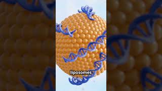 Revolutionary Liposome Drug Delivery Systems drugdelivery nanotechnology biotech [upl. by Lehcim]