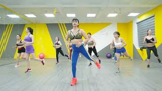 Best Aerobic Exercise For Weight Loss Get A Hourlass Figure In 14 Day  Mira Pham Aerobics [upl. by Weinberg113]