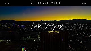 Exploring Las Vegas Concerts Adventures amp an Unexpected Storytime [upl. by Eilsehc]