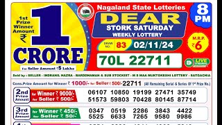 🔴Lottery Sambad Live 0800pm 021124 Evening Nagaland State Dear Lottery Result Pdf Download [upl. by Ecargyram335]