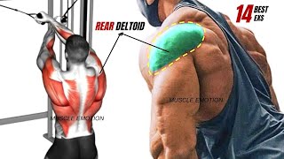 13 BEST REAR DELTOID EXERCISES WITH CABLE ONLY AT GYM [upl. by Rikahs]