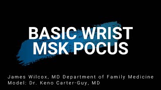 Basic Wrist Ultrasound [upl. by Einobe]