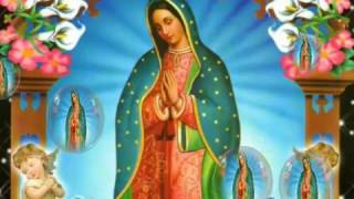 Virgen de Guadalupe La Guadalupana [upl. by Ahseram]