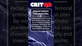 Arterial Catheter Placement Sites [upl. by Estelle230]