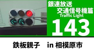 【交通信号機143】（更新済み）県内貴重！ 鉄板親子 その２  橋本五差路交差点 [upl. by Ytnom]