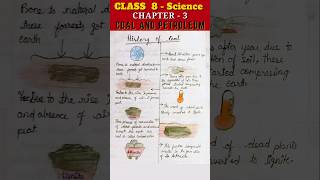 History of Coal  Class 8 Science  Chapter 3 Coal and Petroleum [upl. by Shaner]