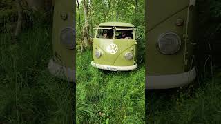 Volkswagen splitbus crusing in da forrest [upl. by Severson3]